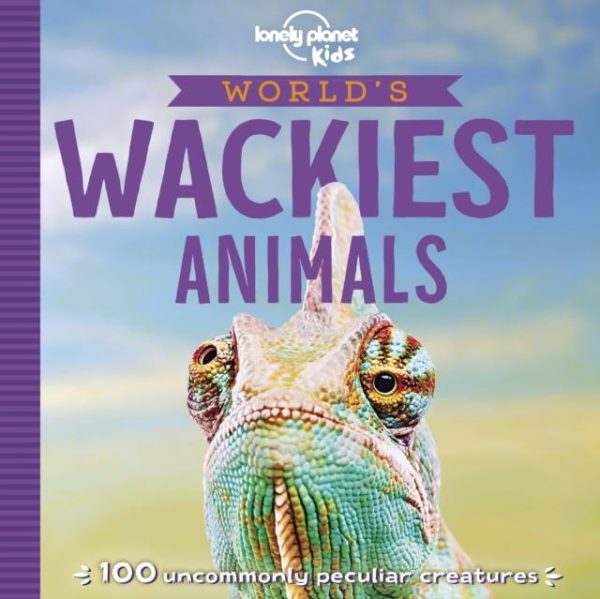 World s Wackiest Animals Cheap