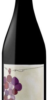 Hangtime - Pinot Noir (California Grown) 2022 (750ml) Online Sale